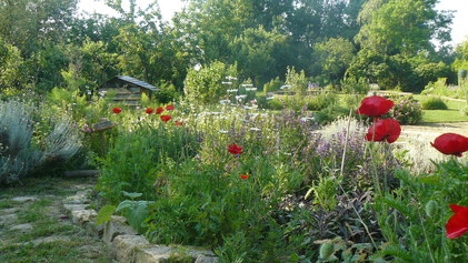 JardinBiodiversité.jpg